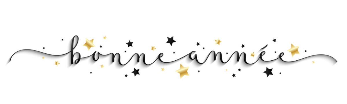 Calligraphie vecteur BONNE ANNEE 2020 avec &eacute;toiles