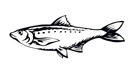 Big sea fish. Vector drawing