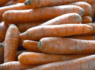 Red Carrots on market. Fresh vegetables offering by farmers, organic food concept.