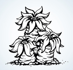 Undersea world. Seaweed. Vector drawing