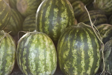Water Melons