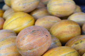 Melons on market