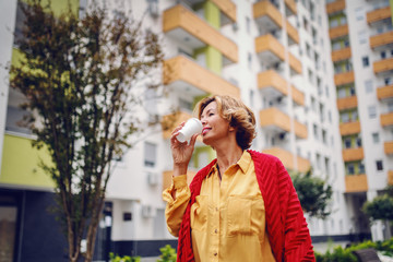 Fototapeta premium Smiling beautiful Caucasian fashionable senior woman walking in park and drinking coffee to go.