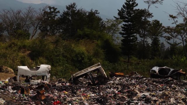 Pig on trash heap in remote wilderness settlement in rainforest
