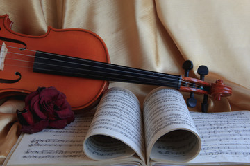 Fototapeta premium Older the fiddle, the sweeter is sound