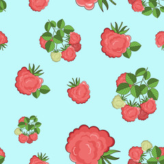 Bushes, sprouts, berries and leaves of forest and garden raspberry.