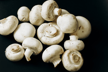 champignon mushrooms on a black background. space for text