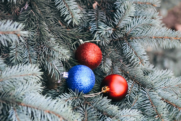 Christmas toy on the branches of a New Year tree. Christmas tree decorated with a festive ball