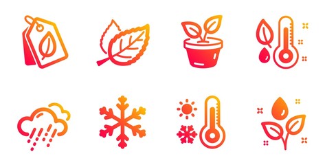 Snowflake, Bio tags and Thermometer line icons set. Rainy weather, Leaves and Leaf signs. Weather thermometer, Plants watering symbols. Snow, Leaf. Nature set. Gradient snowflake icons set. Vector