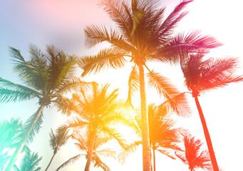 coconut tree at tropical coast, made with Vintage tones, and purple sky at the sunset ,warm tones