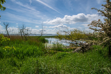 Usedom