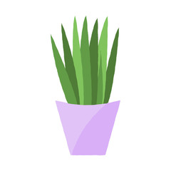Vector illustration of a textured succulent in a purple pastel plant pot. Houseplant graphic.