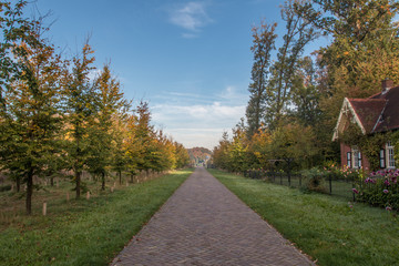 young tree avenue at the estate of Hof te Dieren, the Netherlands