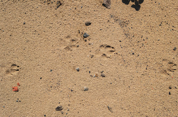 Sand background and texture. Grunge sand.