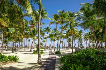 Obraz premium Punta Cana 