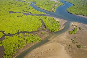 Aerial view of mangrove forest in the  Saloum Delta National Park, Joal Fadiout, Senegal. Photo...