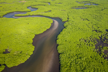 Aerial view of mangrove forest in the  Saloum Delta National Park, Joal Fadiout, Senegal. Photo made by drone from above. Africa Natural Landscape.
