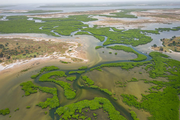 Aerial view of mangrove forest in the  Saloum Delta National Park, Joal Fadiout, Senegal. Photo...
