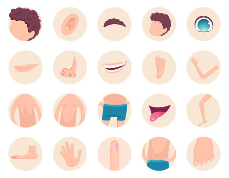 Body parts. Human anatomy head legs fingers nose hands back belly vector fragments collection. Back and head human, foot and hand illustration