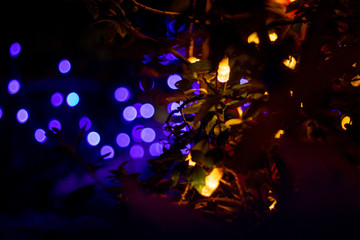 christmas tree with lights on black background