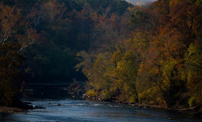 river between forest in fall season