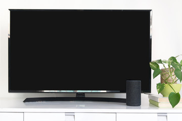 Alexa Echo Intelligent speaker device as home automation system to control a smart television. Living room with a black screen of a tv next to some green plants.