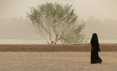 On the banks of the Nile in Egypt, a woman in a black dress is walking along a dirt road in a black dress. It's a sandstorm. In the background is a tree in the yellow haze.