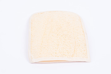 Luffa isolated on white background