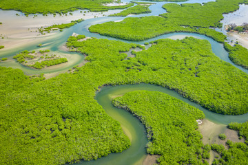 Aerial view of mangrove forest in the  Saloum Delta National Park, Joal Fadiout, Senegal. Photo...