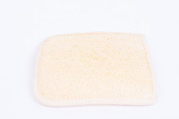 Luffa isolated on white background