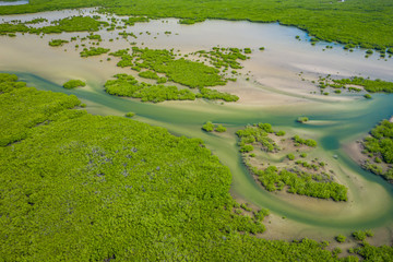 Aerial view of mangrove forest in the  Saloum Delta National Park, Joal Fadiout, Senegal. Photo made by drone from above. Africa Natural Landscape.