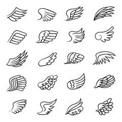 Wings. Drawing air symbols angel feather wings fly motion shapes freedom vector collection. Feather wing drawing, pigeon bird illustration
