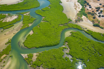 Aerial view of mangrove forest in the  Saloum Delta National Park, Joal Fadiout, Senegal. Photo made by drone from above. Africa Natural Landscape. - obrazy, fototapety, plakaty