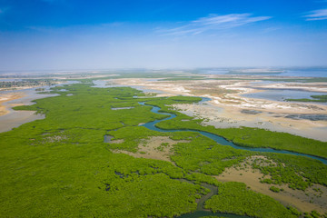 Aerial view of mangrove forest in the  Saloum Delta National Park, Joal Fadiout, Senegal. Photo...