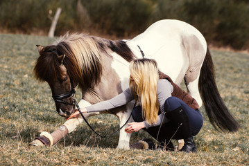 Pony macht ein Kompliment © Talitha