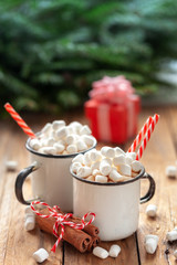 Hot Chocolate Cocoa with marshmallow in two white ceramic mugs.