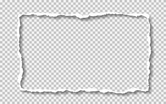 Ripped Paper Frame Vector Design Images, Rip White Paper Frame, Rip Paper,  Tear Paper, White Paper Corner PNG Image For Free Download in 2023