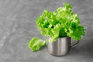 Green lettuce leaves in aluminum mug on gray background.
