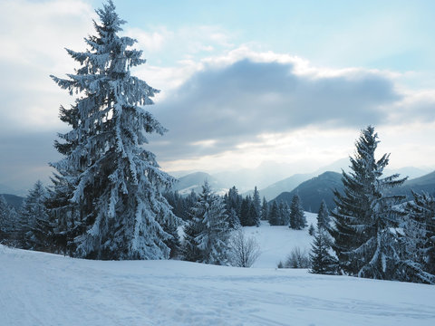 Winter in den Chiemgauer Alpen (Bayern)