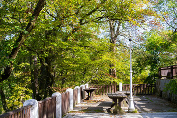 city views Karlovy Vary autumn. Czech Republic. Carlsbad. tree leaves in the foreground. Roofs of church roof tiles.