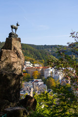 city views Karlovy Vary autumn. Czech Republic. Carlsbad. tree leaves in the foreground. Roofs of...