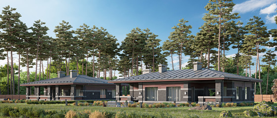 Obraz premium Woodland townhouse village / gated community, 3d rendering
