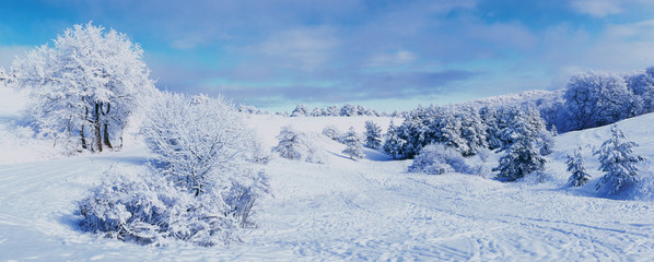 Fototapeta na wymiar Christmas winter landscape. Snow on the Ai-Petri. Crimea