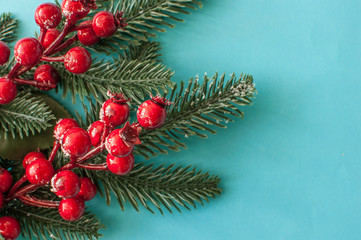Christmas decorations: red berries on pastel blue background. Christmas, New Year, winter concept.