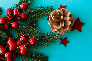 Christmas decorations: red berries on pastel blue background. Christmas, New Year, winter concept.
