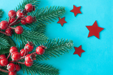 Christmas decorations: red berries on pastel blue background. Christmas, New Year, winter concept.