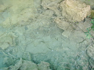 It is a pleasure to relax on the shores of a clear mountain lake, and to enjoy the abundance of...