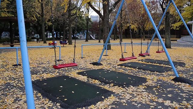 Empty swing in Tokyo autumn