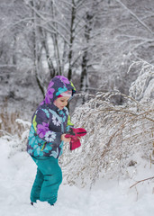 A child in the winter forest throws snow and laughs