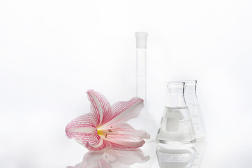 pink lily flower with science flask in white laboratory background